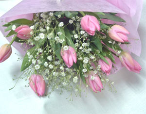 ����ԁ@���ԉԑ�/�s���N�`���[���b�v�u�[�P